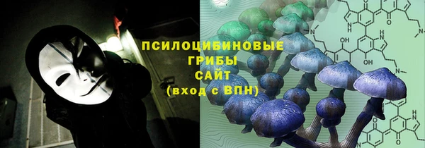 ГАЛЛЮЦИНОГЕННЫЕ ГРИБЫ Богородск