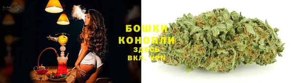 твердый Богородицк