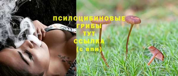 ГАЛЛЮЦИНОГЕННЫЕ ГРИБЫ Богородск
