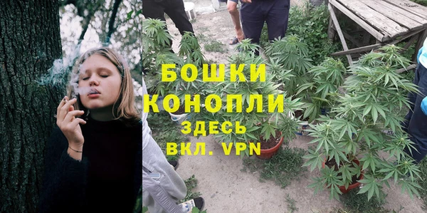 первитин Богданович