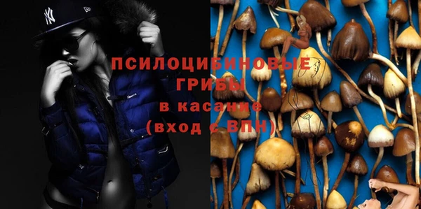 первитин Богданович